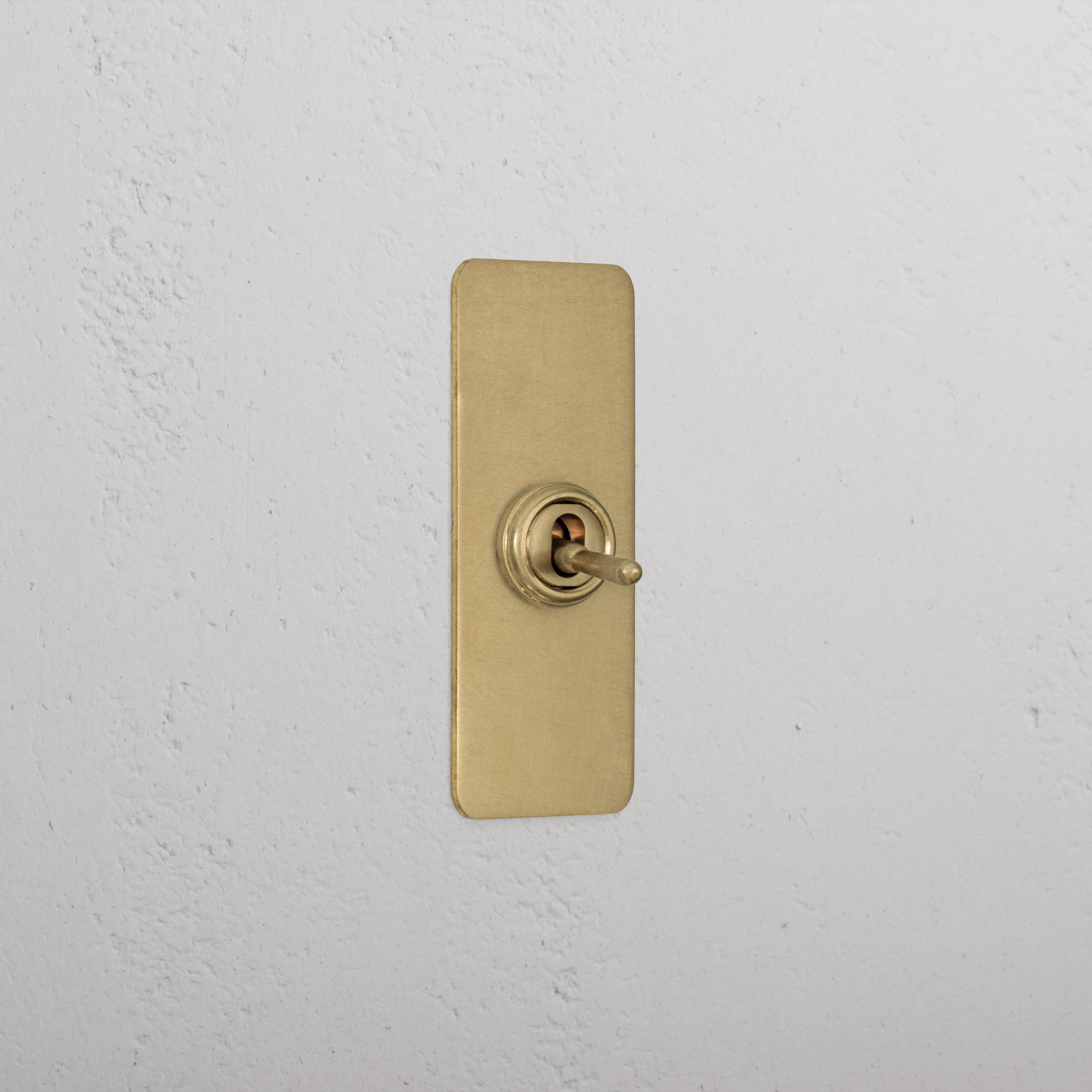 Premium Antique Brass 1 Gang 2 Way Architrave Light Switch