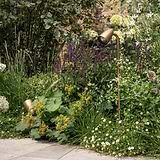 Ealing Path Spotlight in antique brass illuminating a garden path with warm light among tall flowers at night.