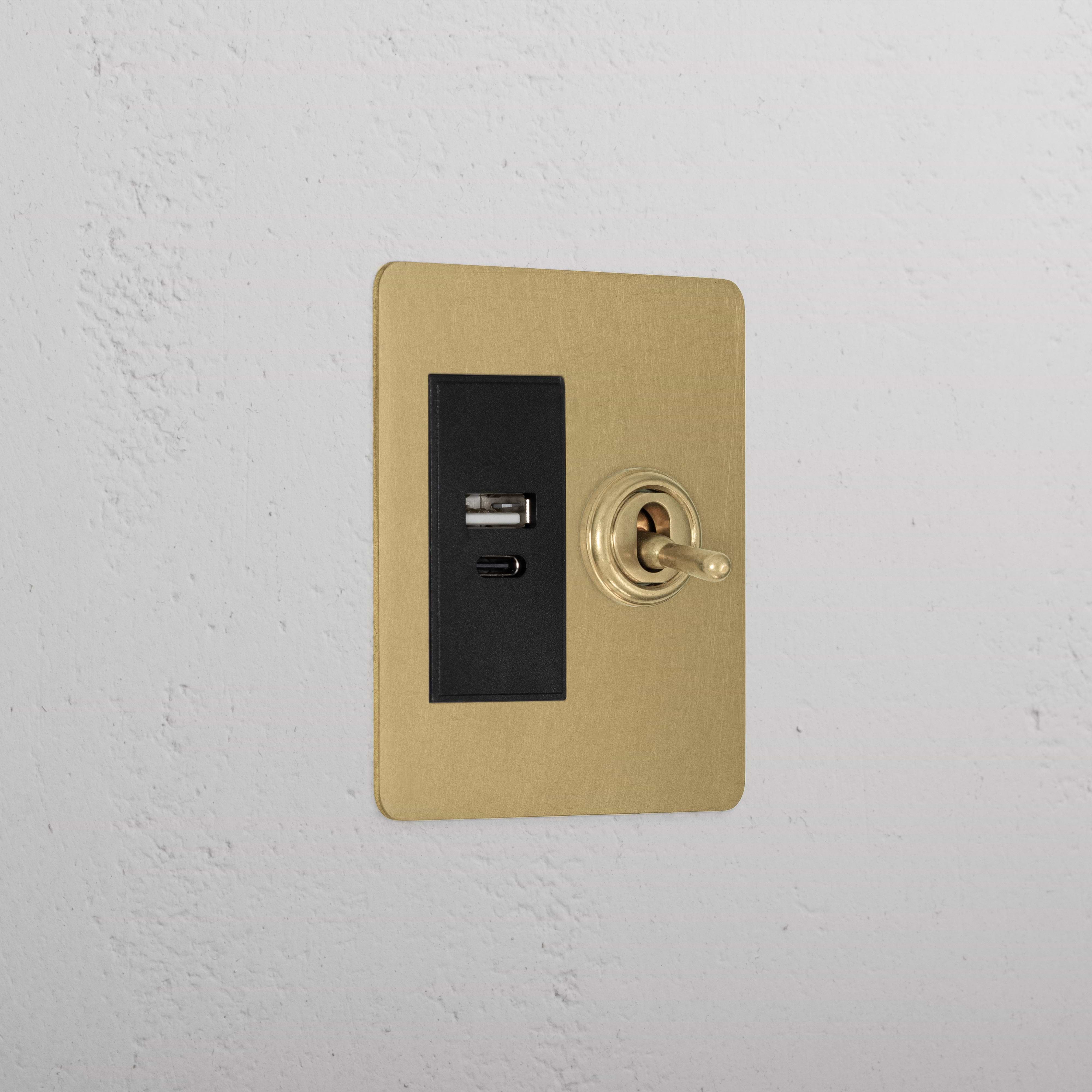 Luxury Antique Brass Slimline 1 Gang 2 Way Toggle And Usb A+C Switch Black