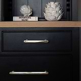 Polished Nickel Milliner Handles On Black Furniture