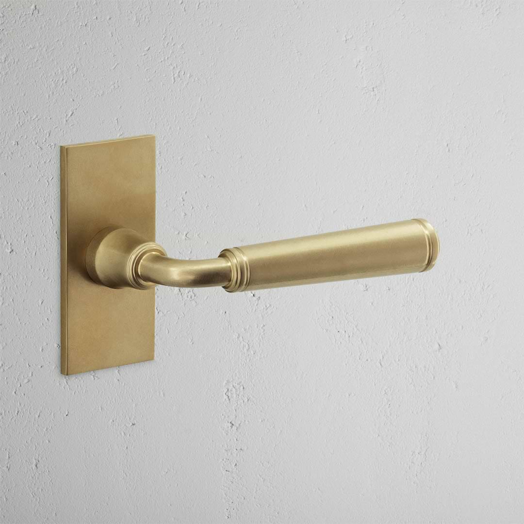 Antique Brass Digby Short Plate Fixed Door Handle on a white wall.