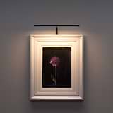 Framed flower on dark background lit softly by a Harrow Picture Light 400mm, displayed on a wall.