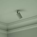 Brompton Spotlight 50mm - Paintable, ideal for blending seamlessly into interiors with a customizable finish.