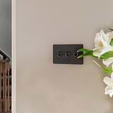 Bronze Light Switch Next To White Flowers