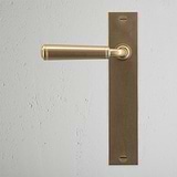 Antique Brass Digby Long Plate Sprung Door Handle on a backplate against a light gray textured wall.