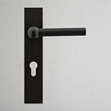 Harper Long Plate Sprung Door Handle & Euro Lock - Bronze 