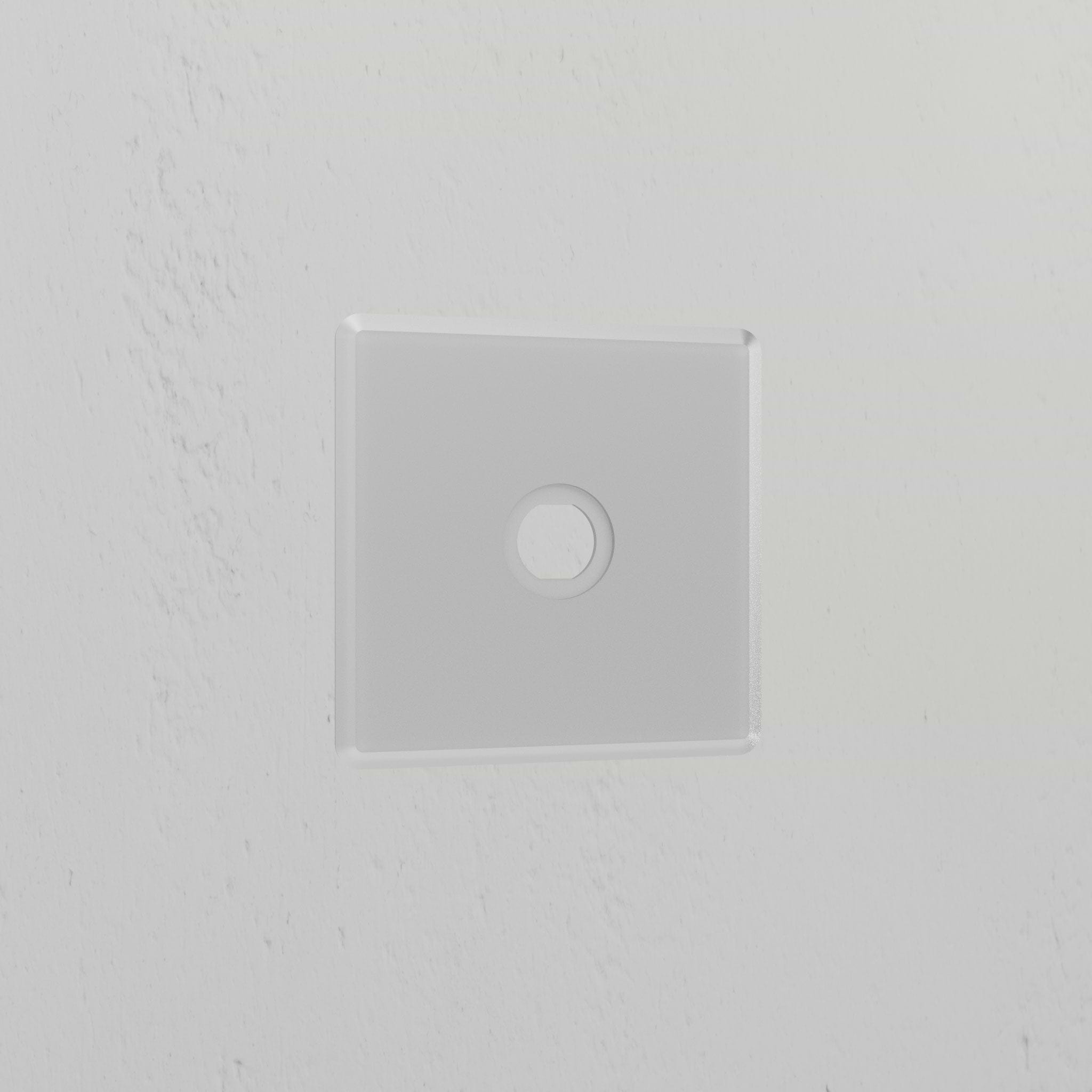 1G Switch Plate - Clear