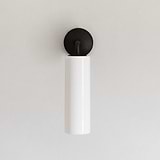 Bronze Wall Light with Fine Porcelain Shade on White Background