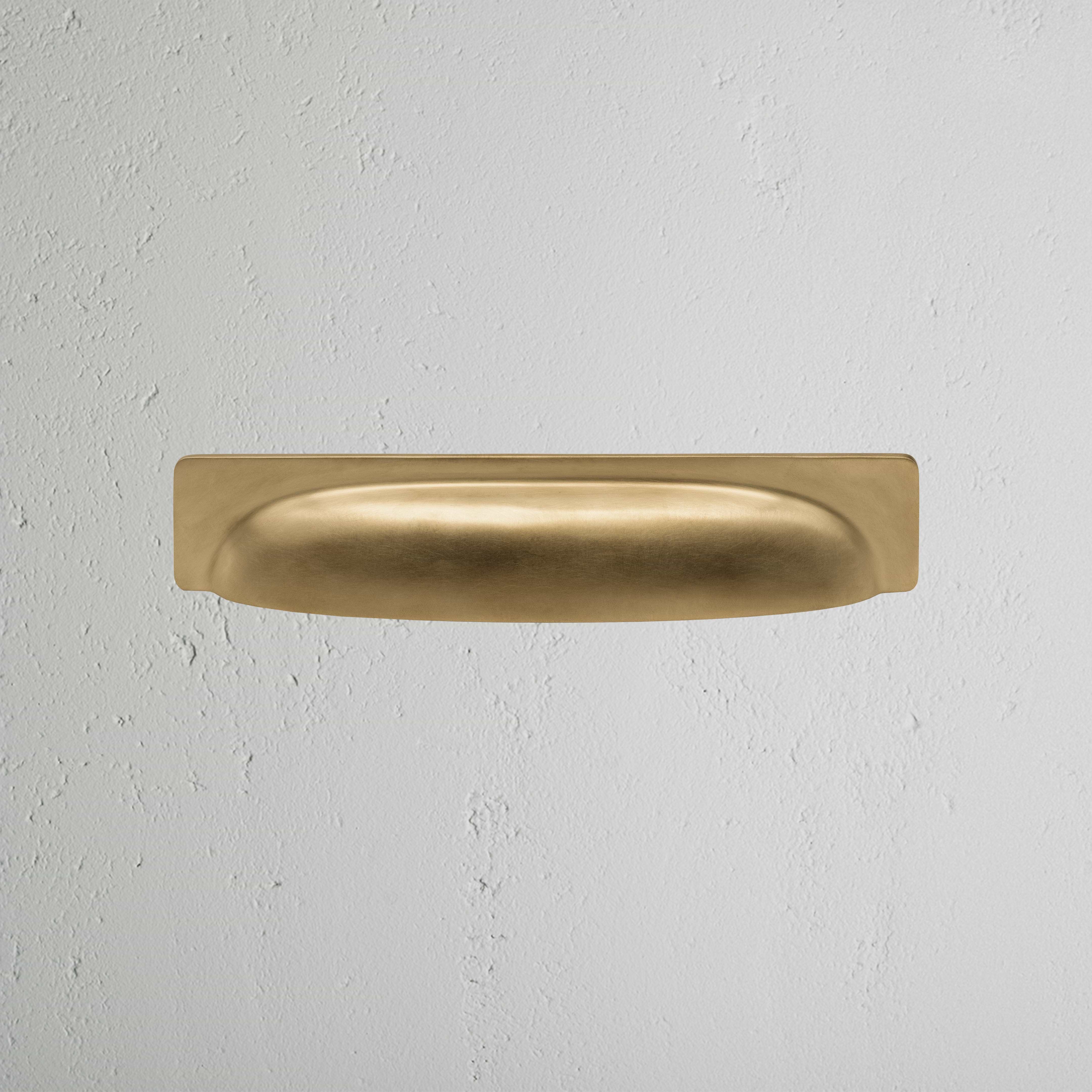 Antique Brass Elm Cup Handle on White Background