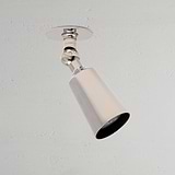 Small Polished Nickel Spotlight on White Background