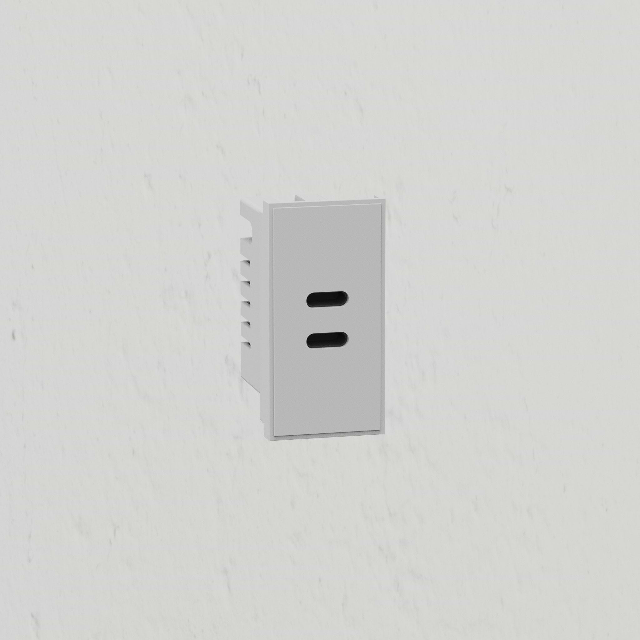 USB C+C Outlet Module 25mm - White
