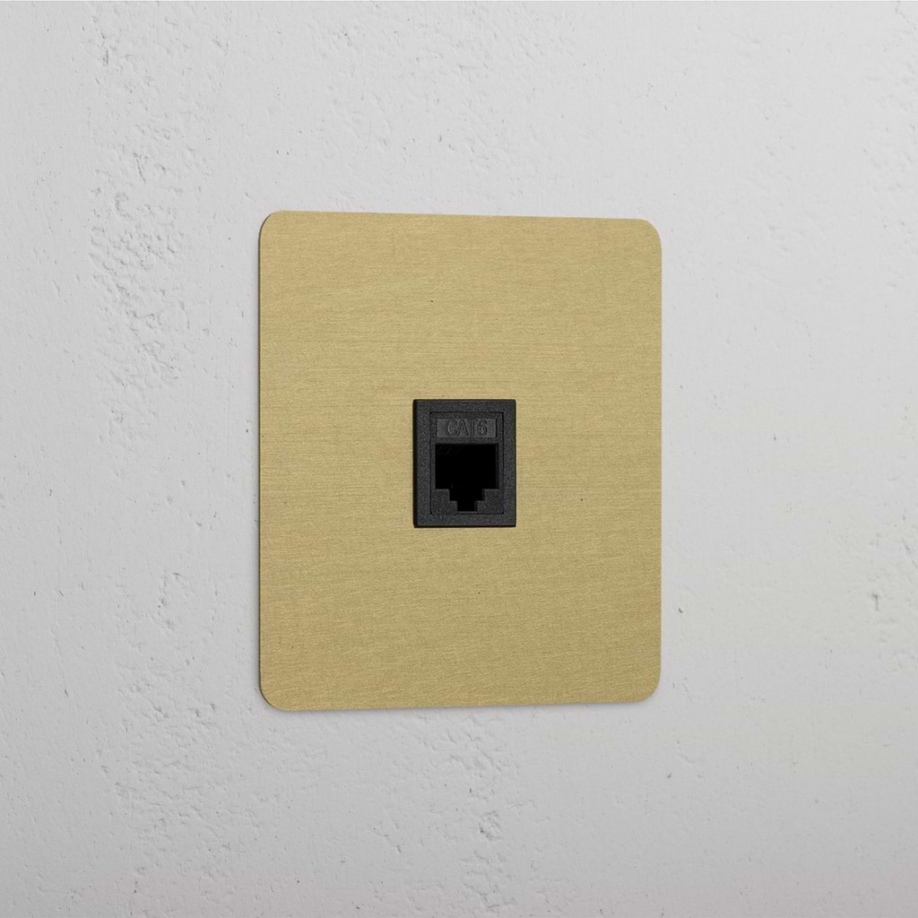 RJ45-Anschluss 1x in Einfachrahmen – Antikes Messing + Schwarz