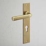 Apsley gefederter Türgriff langes Schild + Euro-Schloss | Renovierungsgarnitur – Antikes Messing