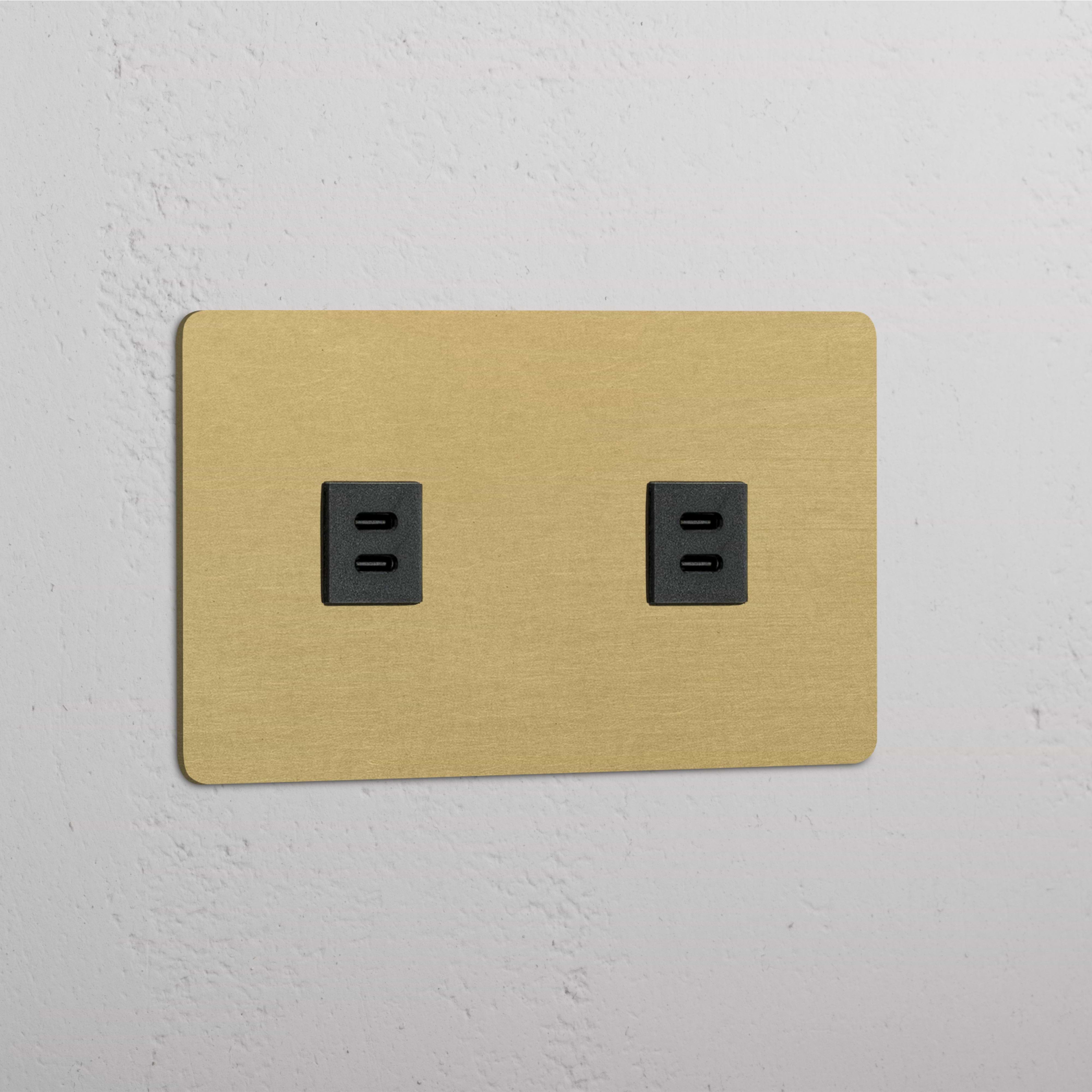 Módulo de carga doble de alta calidad USB x2 en latón antiguo y negro