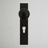 Pomo para puertas Poplar con placa larga (con muelle) y cerradura europea - Bronce