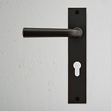 Manilla para puertas Apsley con placa larga (con muelle) y cerradura europea - Bronce