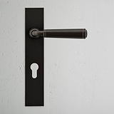 Manilla para puertas Digby con placa larga (con muelle) y cerradura europea - Bronce