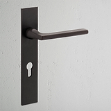 Manilla para puertas Clayton con placa larga (con muelle) y cerradura europea - Bronce