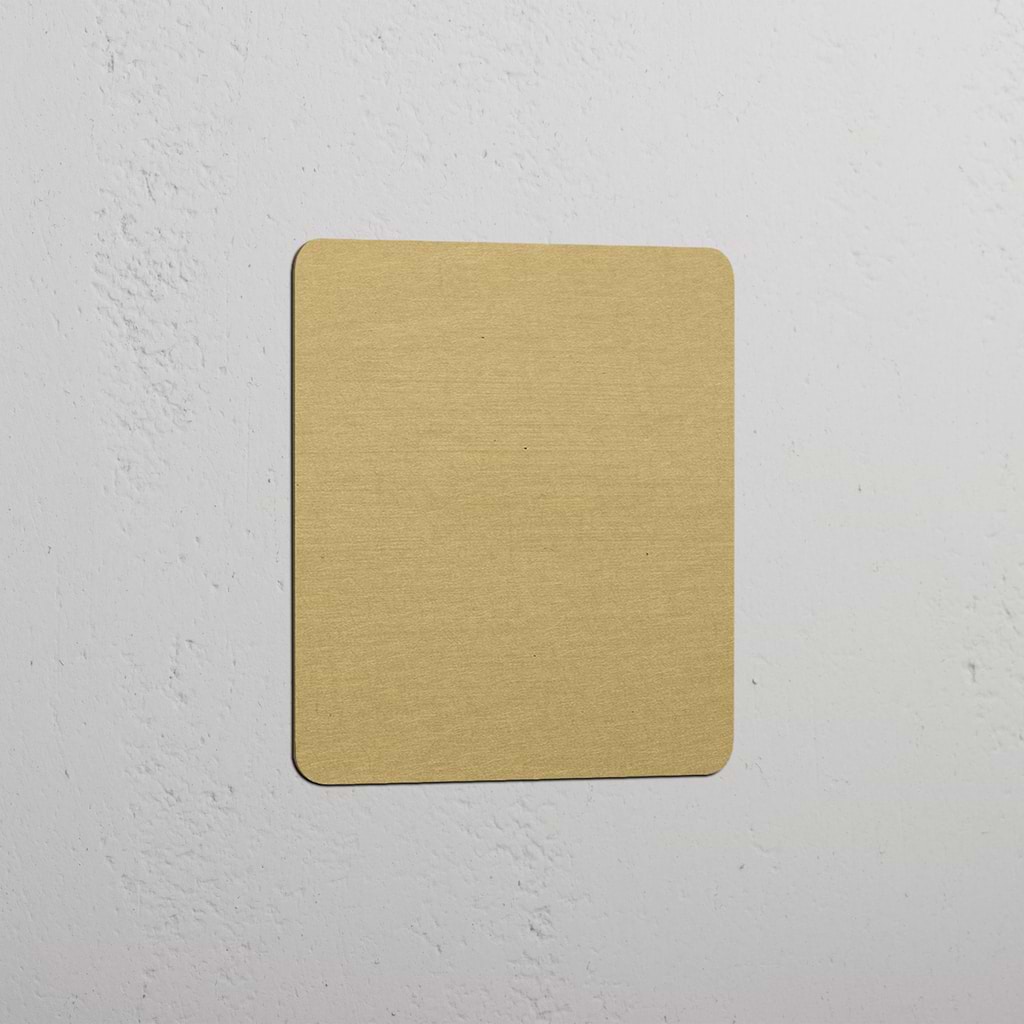 Placa ciega individual con acabado en latón antiguo