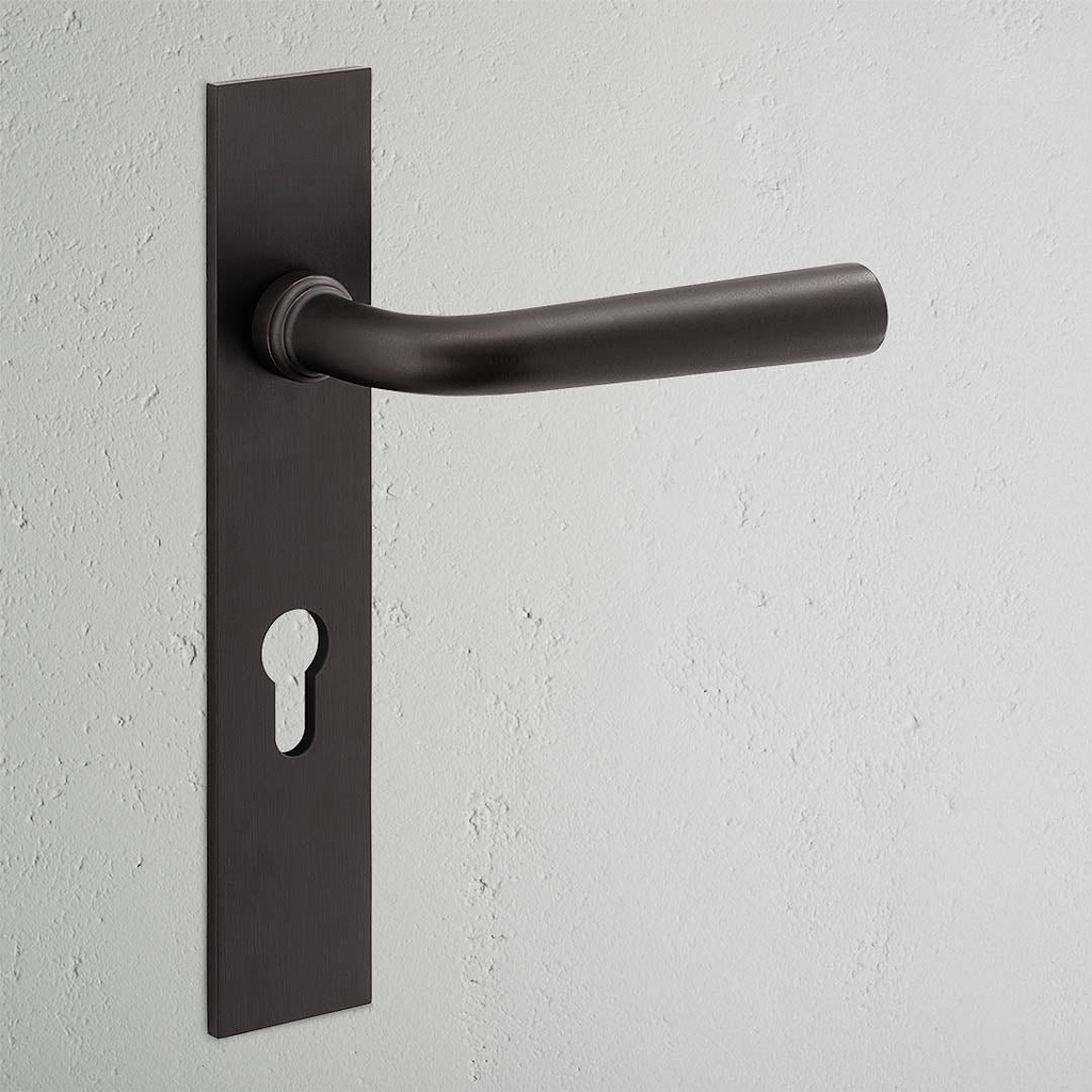 Manilla para puertas Apsley con placa larga (con muelle) y cerradura europea - Bronce