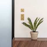 Interruptor de palanca doble x4 vertical en latón antiguo, colocado en una pared blanca con muebles de madera oscura debajo con una planta encima. 