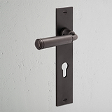 Manilla para puertas Digby con placa larga (con muelle) y cerradura europea - Bronce
