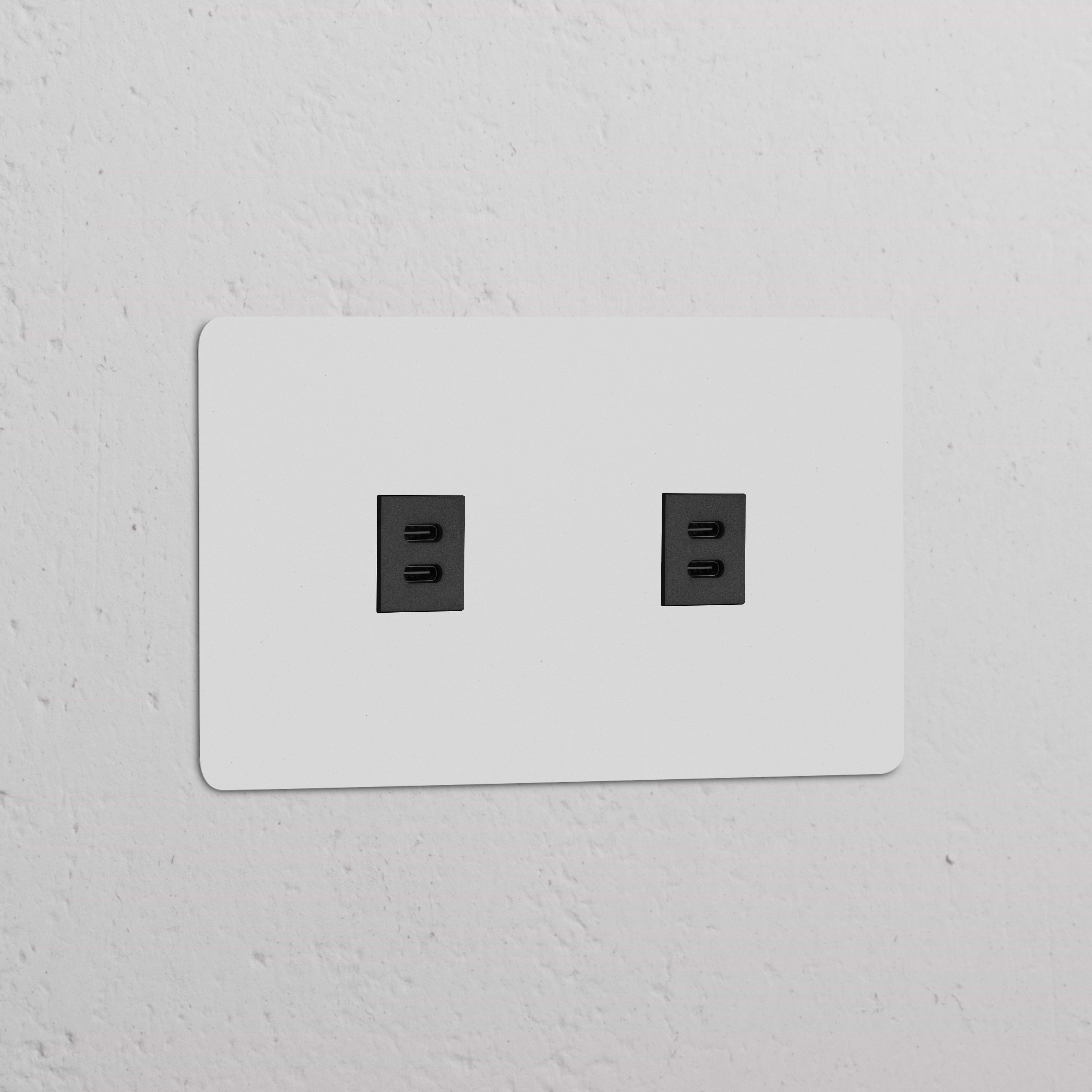Enchufe USB-C de 30W x2 (marco doble) con cara pintable e inserción negra en un marco blanco texturizado.