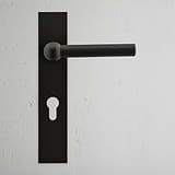 Manilla para puertas Harper con placa larga (con muelle) y cerradura europea - Bronce