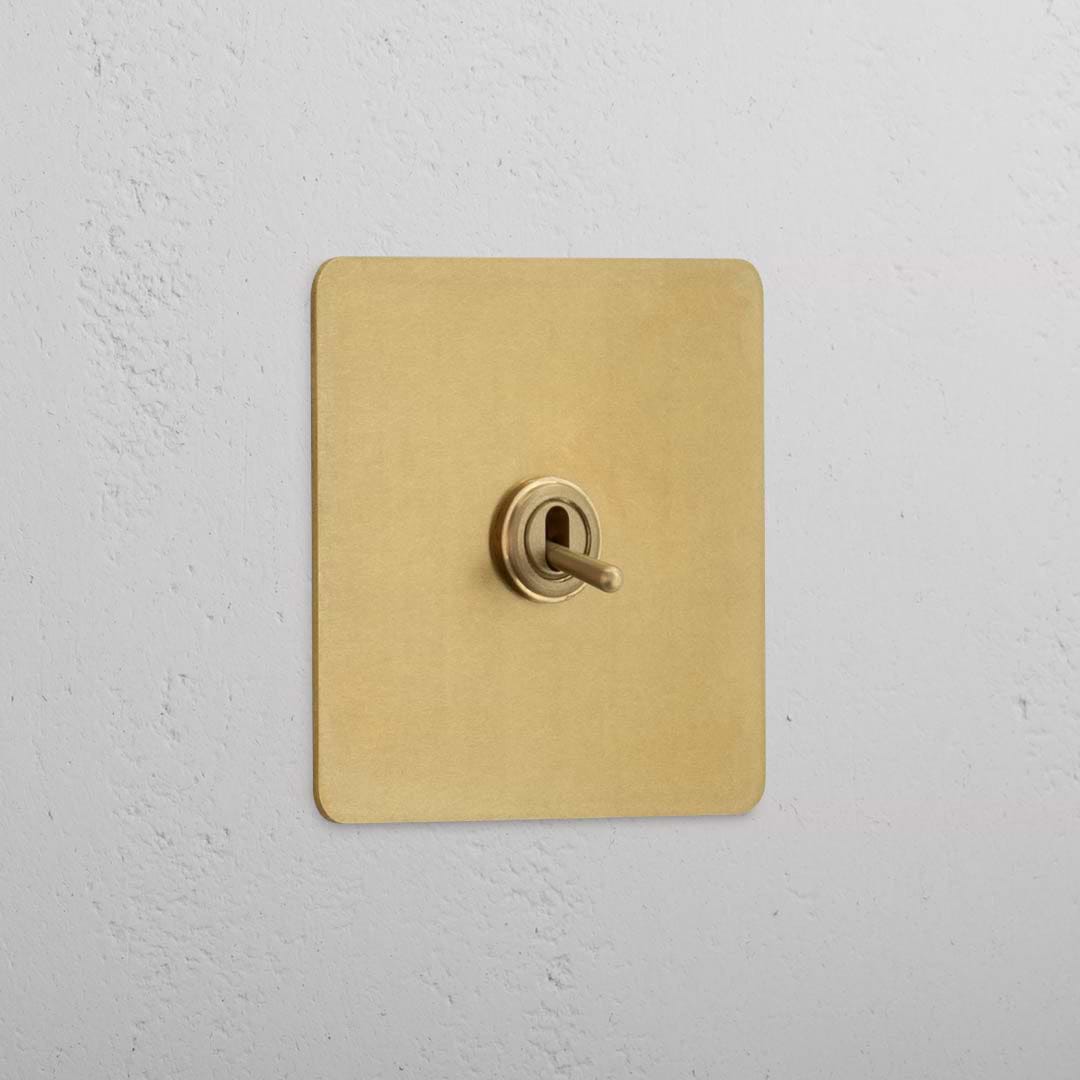 Interruptor de palanca individual en latón antiguo - Accesorio para casa moderna