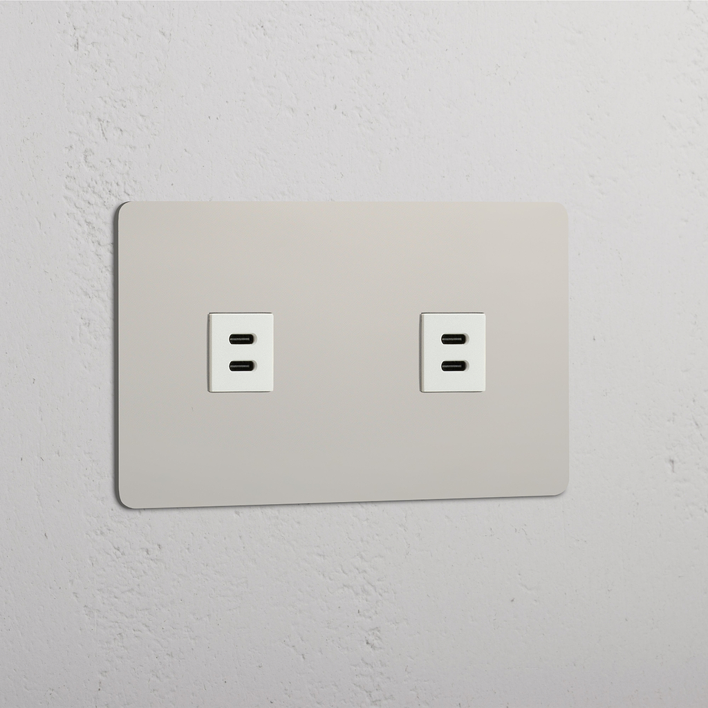 Salida doble de carga rápida estándar: Módulo doble USB x2 en níquel pulido y blanco