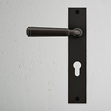 Manilla para puertas Digby con placa larga (con muelle) y cerradura europea - Bronce