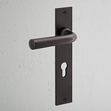 Manilla para puertas Apsley con placa larga (con muelle) y cerradura europea - Bronce