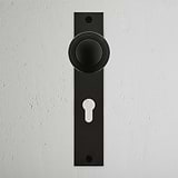 Pomo para puertas Poplar con placa larga (con muelle) y cerradura europea - Bronce