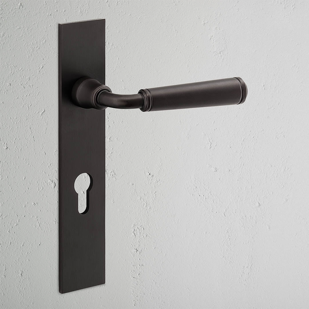 Manilla para puertas Digby con placa larga (con muelle) y cerradura europea - Bronce