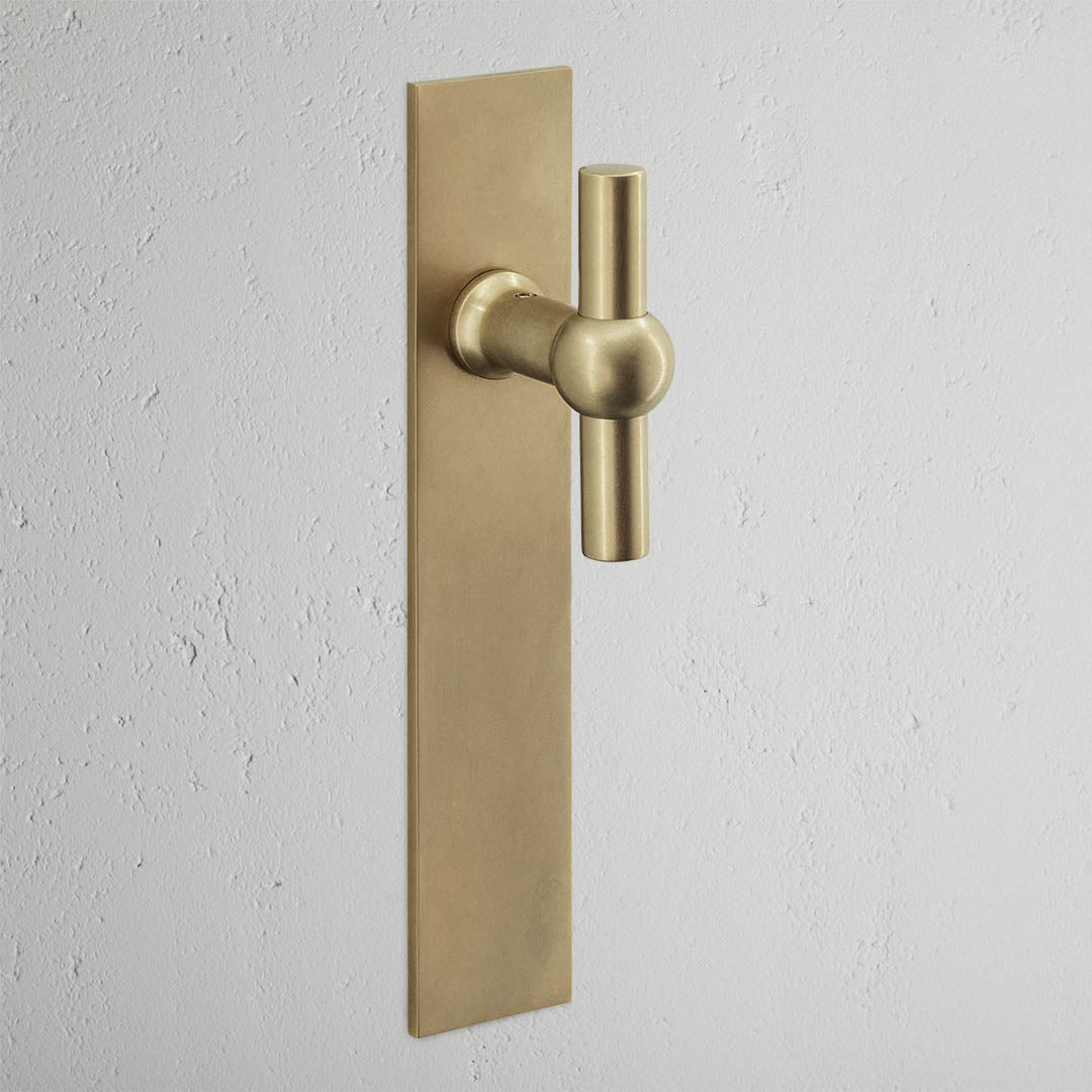 Harper T-Bar Long Plate Sprung Door Handle – Antique Brass