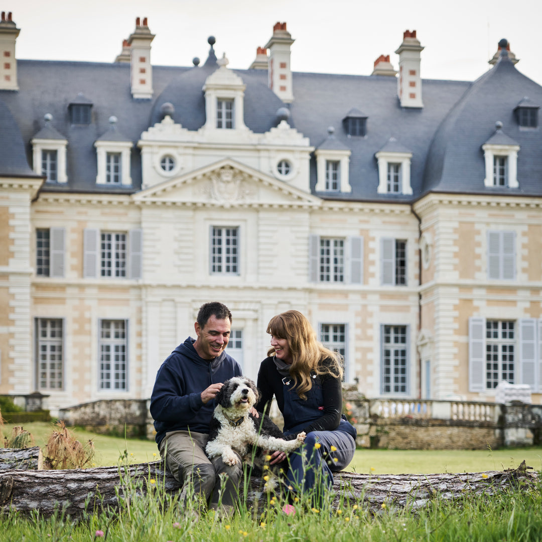 Het Château de Purnon nieuw leven inblazen