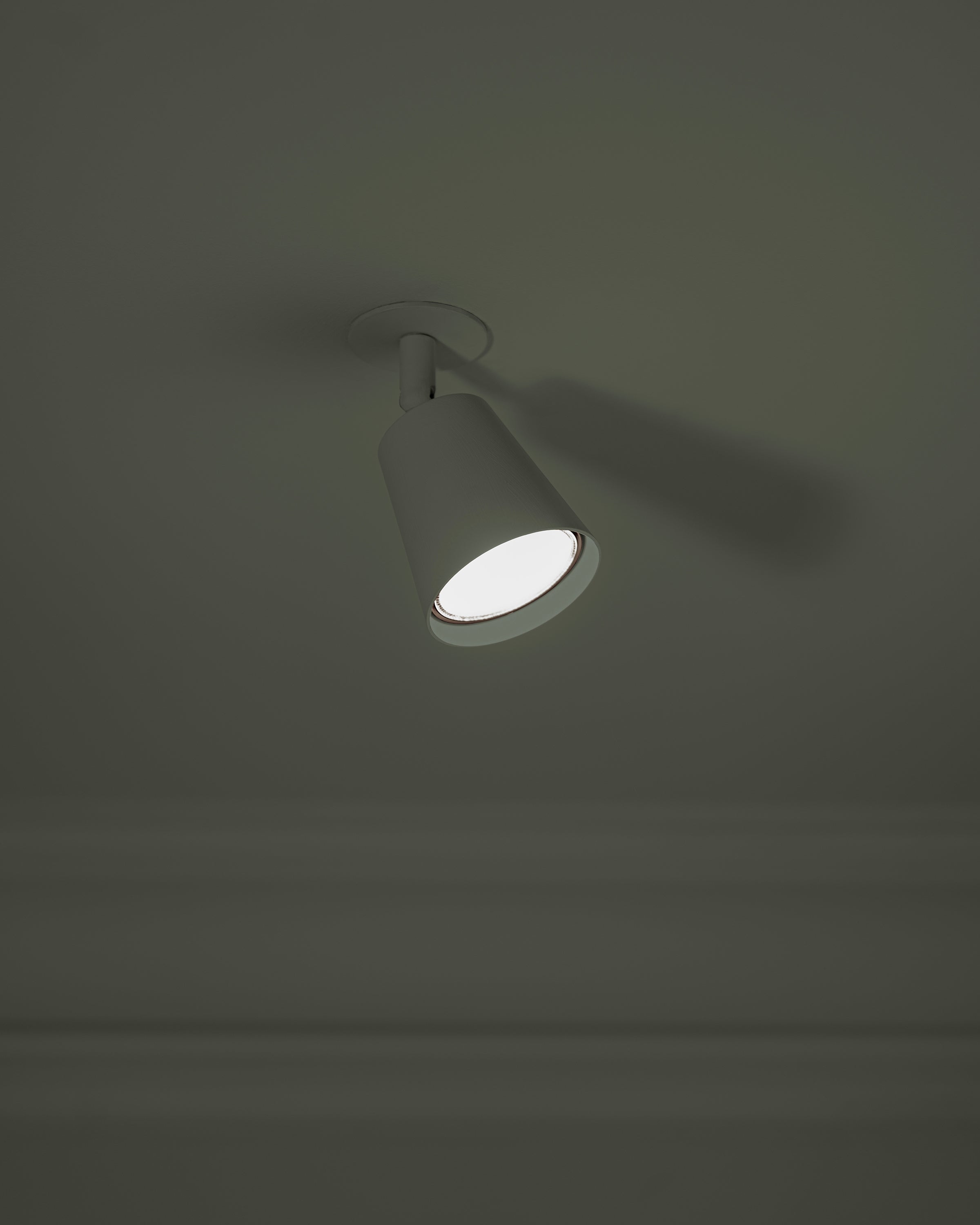 L1