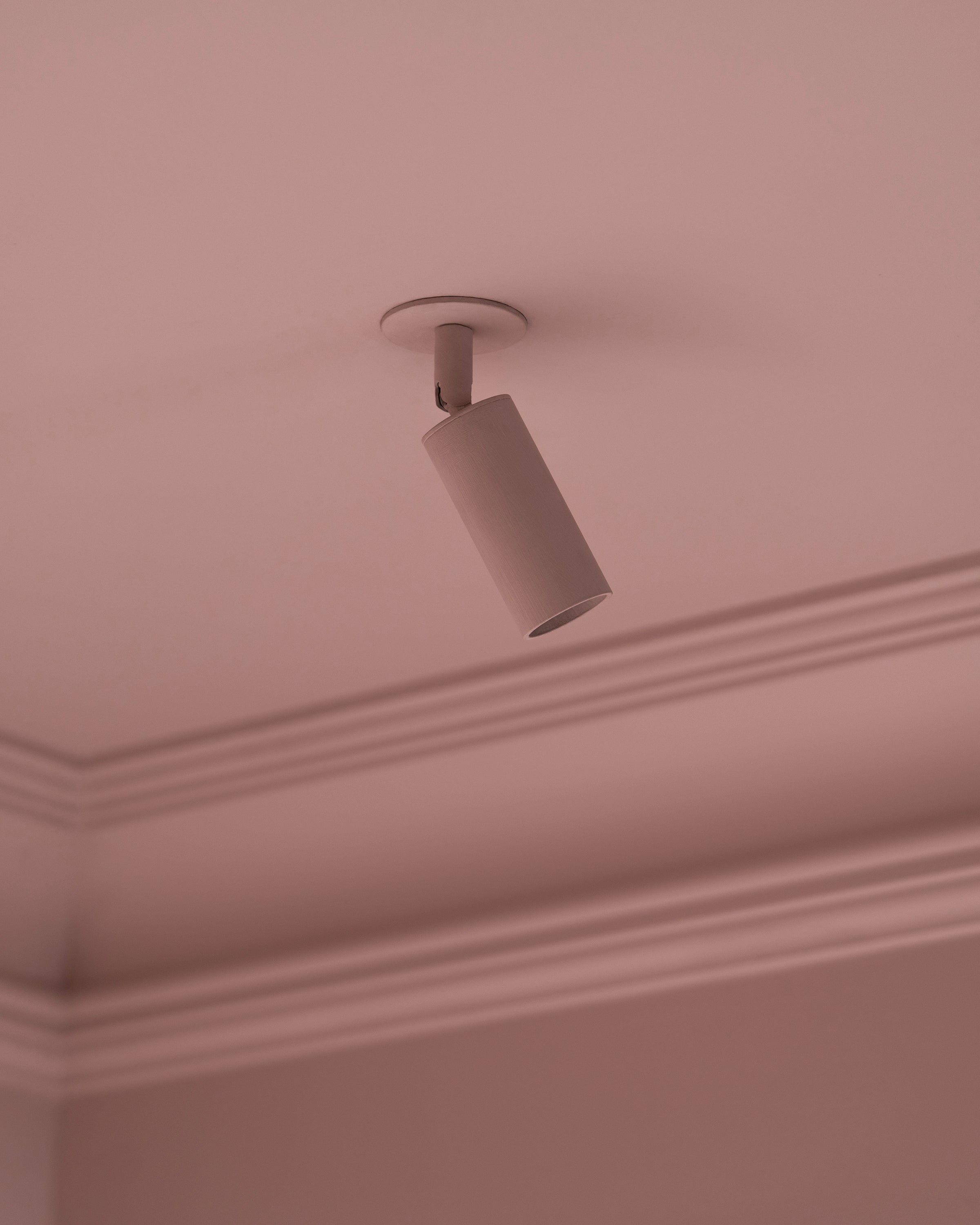 P-L1