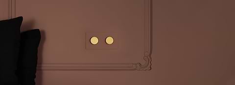 Peignable laiton ancien - inserts noirs