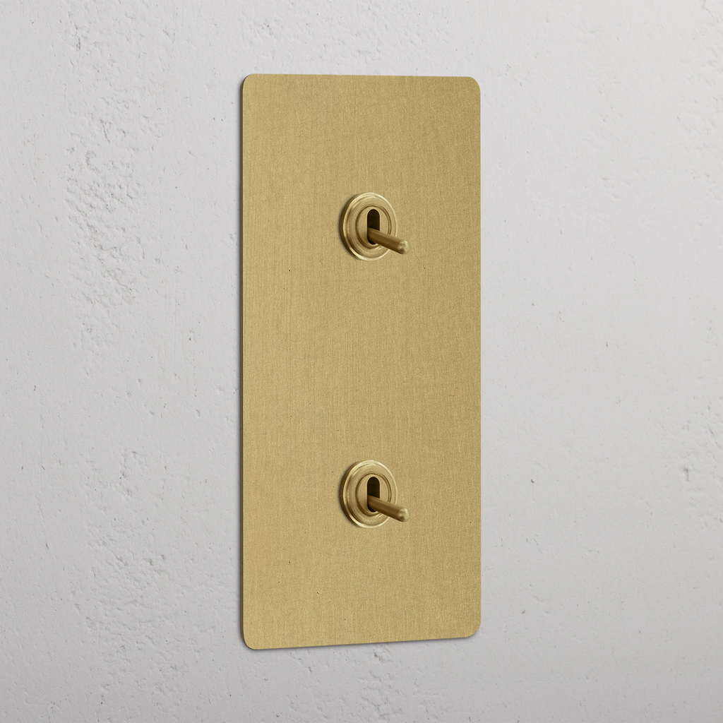Vertical Toggle Switch with Double Levers in Antique Brass