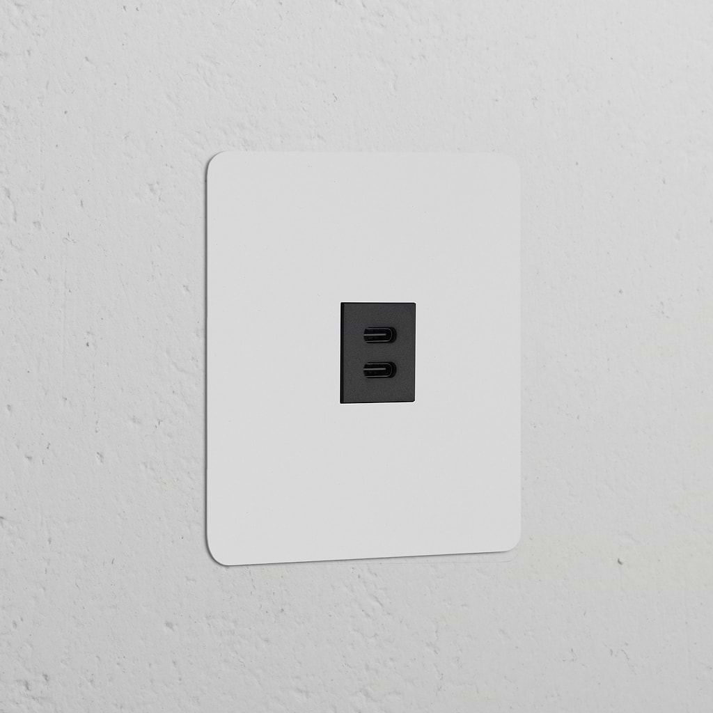 Prise USB-C 30W (Plaque Simple) - Peignable Insert Noir