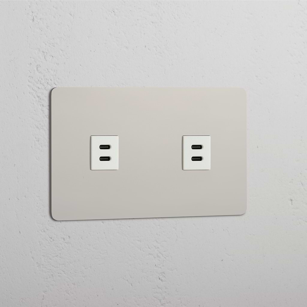 Dual High-Speed Charging Outlet: Polished Nickel White Double 2x USB Module