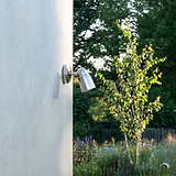 Projecteur Encastré Ealing - Nickel Poli, projecteur d'extérieur monté sur mur blanc avec arbres en arrière-plan.