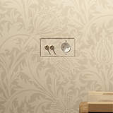Interrupteur VV à Levier x2 & Prise de Courant Ronde Type E (Plaque Double) - Transparent / Laiton Ancien (Insert Blanc)