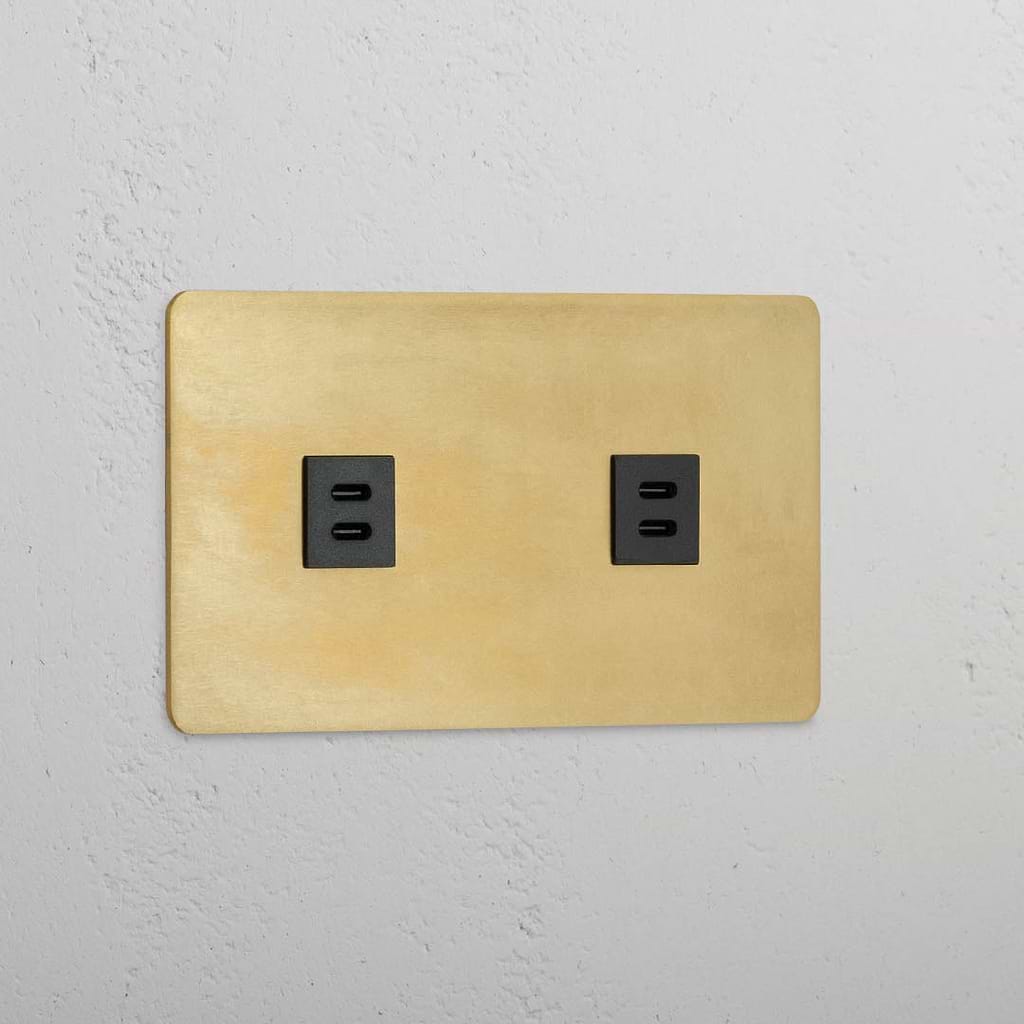 High-Quality Double 2x USB Power Module in Antique Brass Black