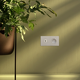 Prise USB-C 30W & Prise de Courant Ronde Type E (Plaque Double) - Nickel Poli (Insert Blanc)