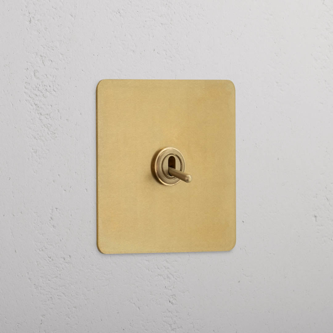 Intermediate Single Toggle Switch in Antique Brass - Stylish Design