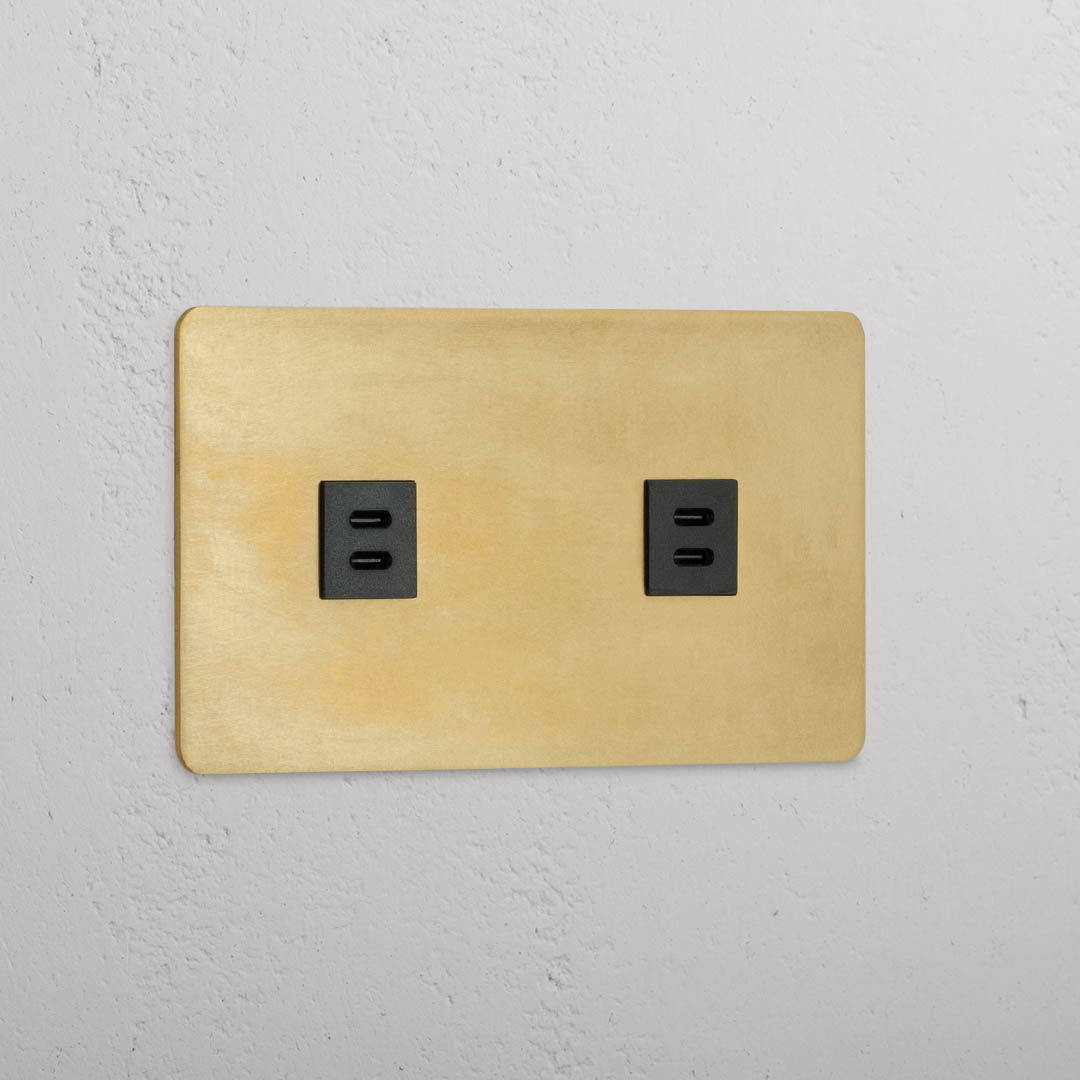 High-Quality Double 2x USB Power Module in Antique Brass Black