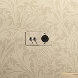 Interrupteur VV à Levier x2 & Prise de Courant Ronde Type E (Plaque Double) - Transparent / Nickel Poli (Insert Noir)