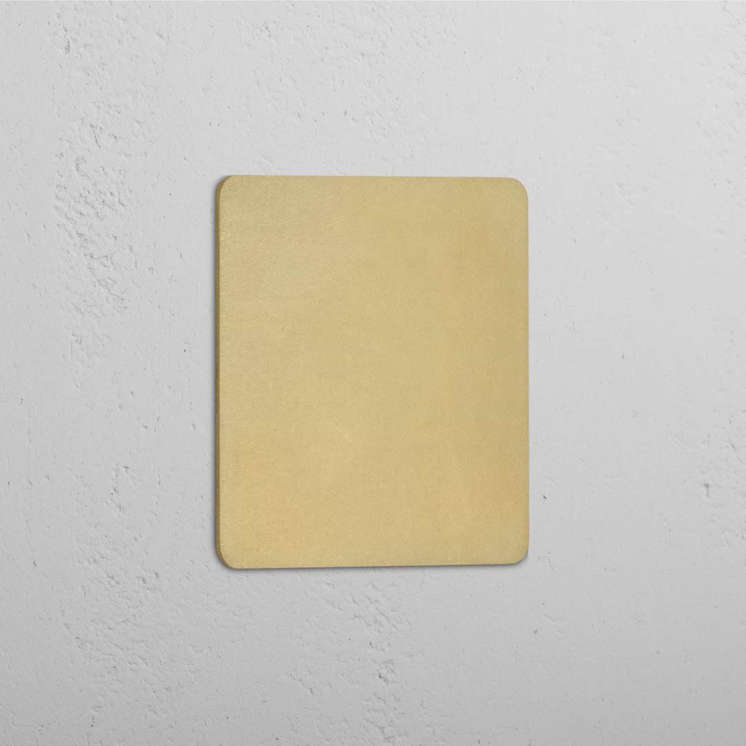 Blank Plate in Single Design with Antique Brass Finish